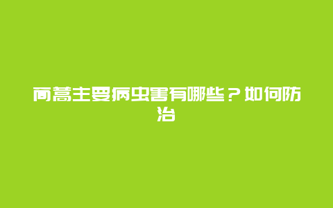 茼蒿主要病虫害有哪些？如何防治