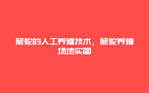 脆蛇的人工养殖技术，脆蛇养殖场地实图