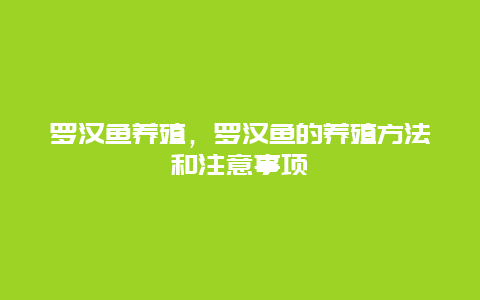 罗汉鱼养殖，罗汉鱼的养殖方法和注意事项