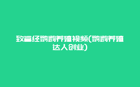 致富经鹦鹉养殖视频(鹦鹉养殖达人创业)