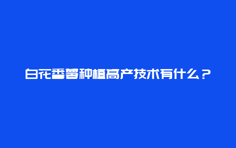 白花番薯种植高产技术有什么？