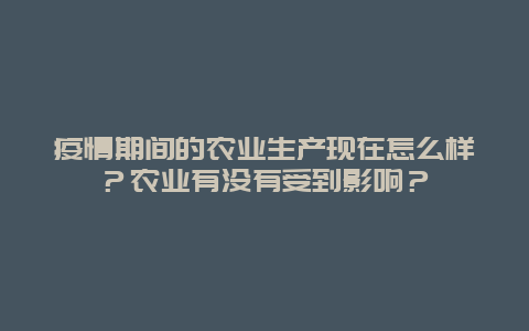 疫情期间的农业生产现在怎么样？农业有没有受到影响？