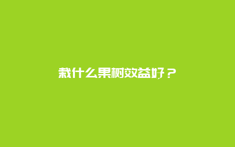 栽什么果树效益好？