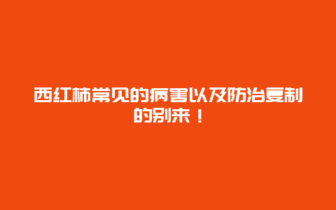 西红柿常见的病害以及防治复制的别来！