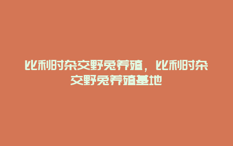 比利时杂交野兔养殖，比利时杂交野兔养殖基地