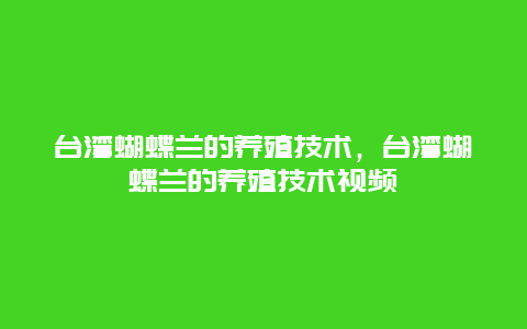 台湾蝴蝶兰的养殖技术，台湾蝴蝶兰的养殖技术视频