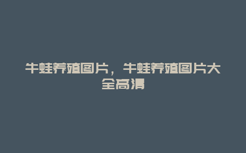 牛蛙养殖图片，牛蛙养殖图片大全高清