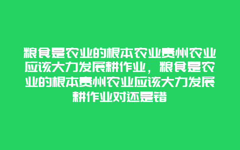 粮食是农业的根本农业贵州农业应该大力发展耕作业，粮食是农业的根本贵州农业应该大力发展耕作业对还是错