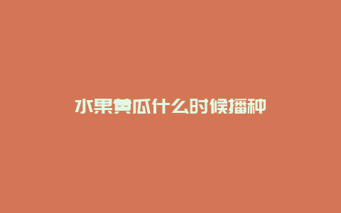 水果黄瓜什么时候播种