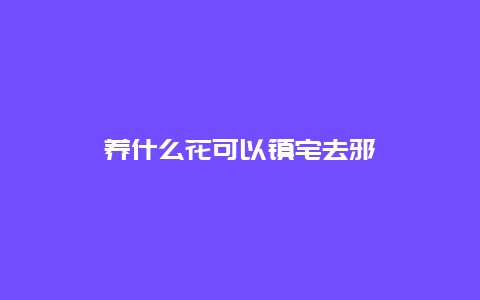 养什么花可以镇宅去邪