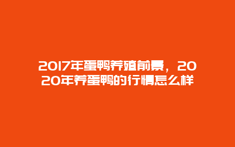 2017年蛋鸭养殖前景，2020年养蛋鸭的行情怎么样