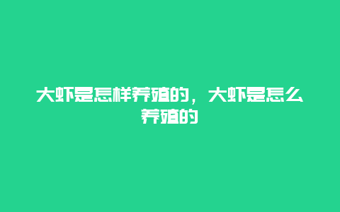 大虾是怎样养殖的，大虾是怎么养殖的