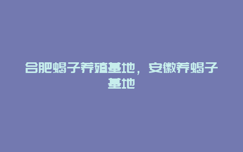 合肥蝎子养殖基地，安徽养蝎子基地