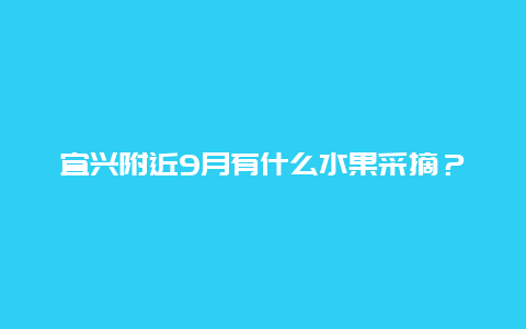 宜兴附近9月有什么水果采摘？