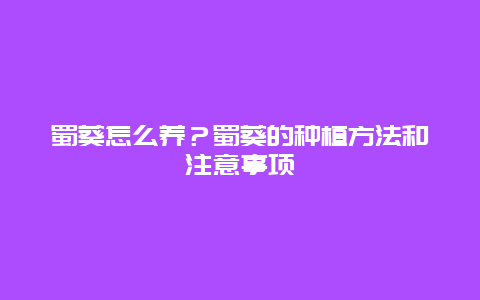 蜀葵怎么养？蜀葵的种植方法和注意事项