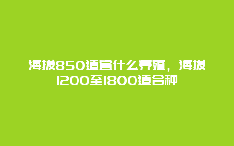 海拔850适宜什么养殖，海拔1200至1800适合种