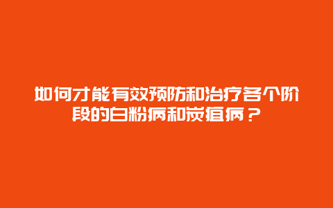 如何才能有效预防和治疗各个阶段的白粉病和炭疽病？