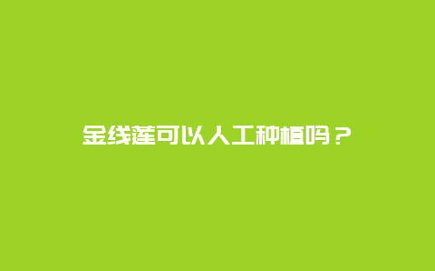 金线莲可以人工种植吗？