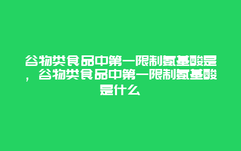 谷物类食品中第一限制氨基酸是，谷物类食品中第一限制氨基酸是什么