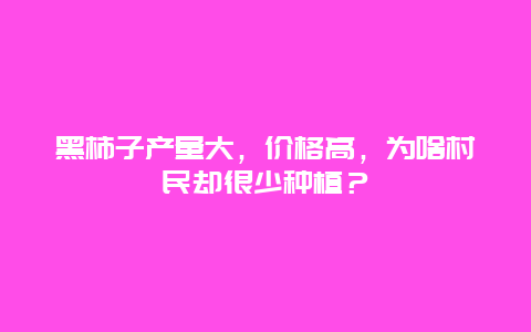 黑柿子产量大，价格高，为啥村民却很少种植？