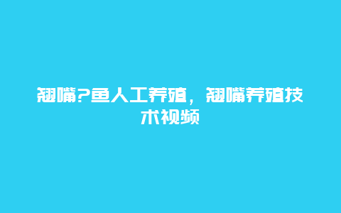 翘嘴?鱼人工养殖，翘嘴养殖技术视频