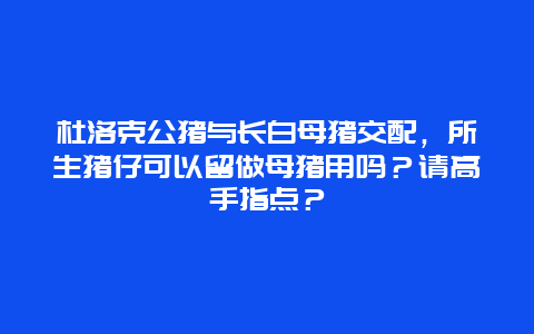 杜洛克公猪与长白母猪交配，所生猪仔可以留做母猪用吗？请高手指点？