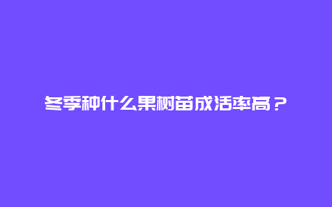 冬季种什么果树苗成活率高？