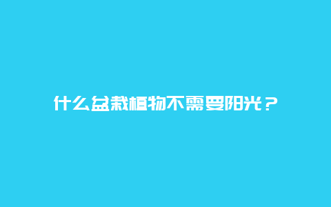 什么盆栽植物不需要阳光？