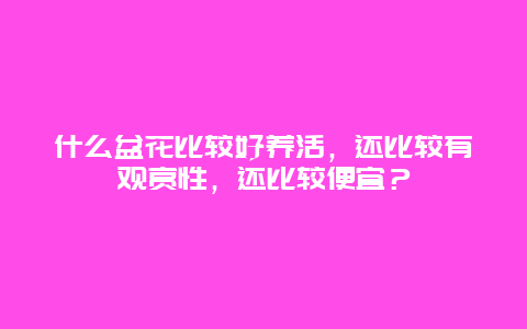 什么盆花比较好养活，还比较有观赏性，还比较便宜？