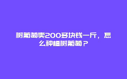 树葡萄卖200多块钱一斤，怎么种植树葡萄？