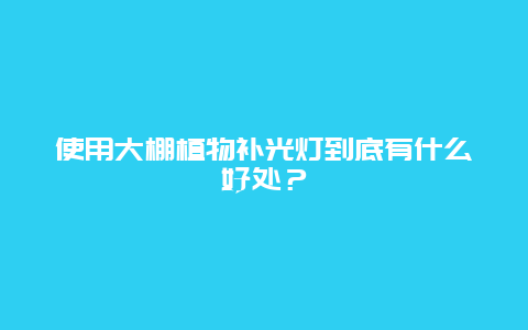 使用大棚植物补光灯到底有什么好处？