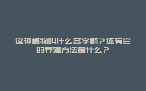 这种植物叫什么名字啊？还有它的养殖方法是什么？