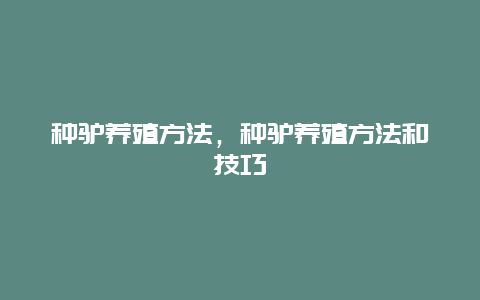 种驴养殖方法，种驴养殖方法和技巧