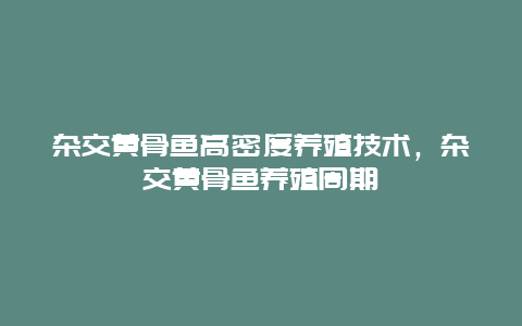 杂交黄骨鱼高密度养殖技术，杂交黄骨鱼养殖周期