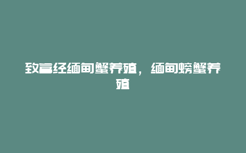 致富经缅甸蟹养殖，缅甸螃蟹养殖