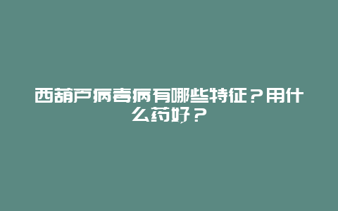 西葫芦病毒病有哪些特征？用什么药好？