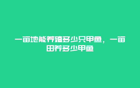 一亩地能养殖多少只甲鱼，一亩田养多少甲鱼