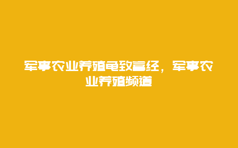 军事农业养殖龟致富经，军事农业养殖频道