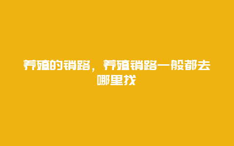 养殖的销路，养殖销路一般都去哪里找