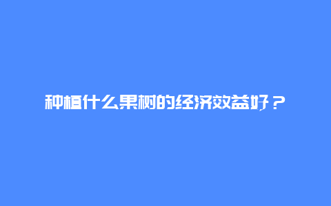 种植什么果树的经济效益好？