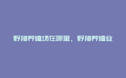 野猪养殖场在哪里，野猪养殖业