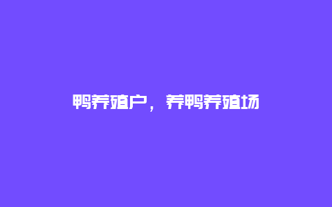 鸭养殖户，养鸭养殖场