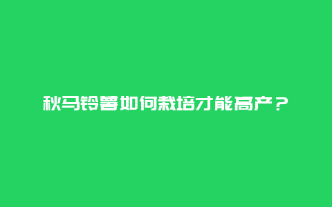 秋马铃薯如何栽培才能高产？