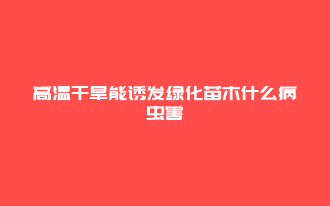 高温干旱能诱发绿化苗木什么病虫害