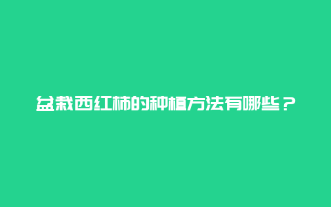 盆栽西红柿的种植方法有哪些？