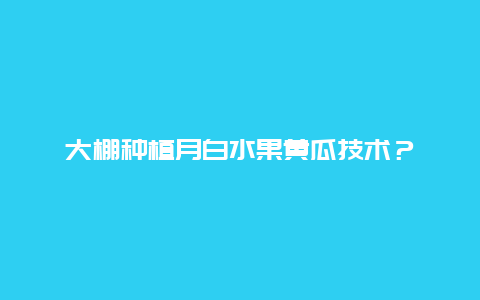 大棚种植月白水果黄瓜技术？