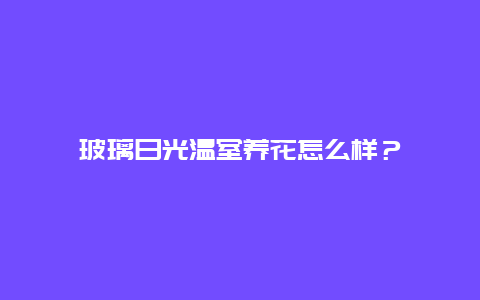 玻璃日光温室养花怎么样？