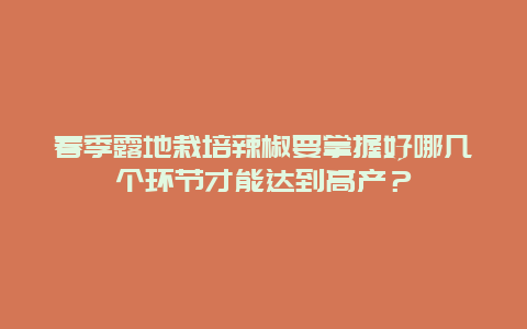 春季露地栽培辣椒要掌握好哪几个环节才能达到高产？