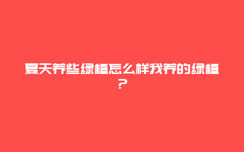 夏天养些绿植怎么样我养的绿植？