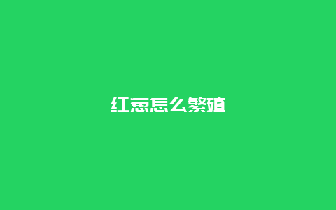 红葱怎么繁殖